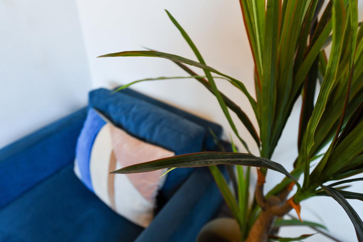 7 bedroom house for rent Rothesay Avenue, Nottingham, NG7 1PU UniHomes