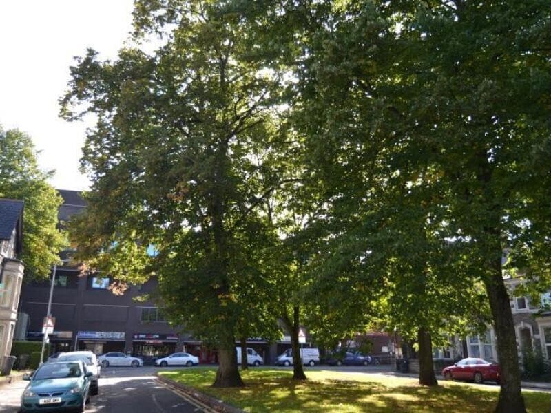 4 bedroom apartment for rent Ruthin Gardens, Cardiff, CF24 4AU UniHomes