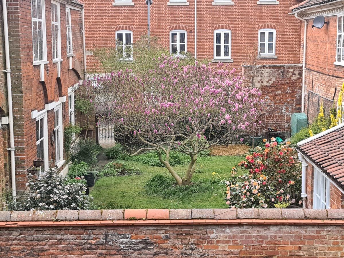 4 bedroom apartment for rent Calvert Street, Norwich, NR3 1BJ UniHomes