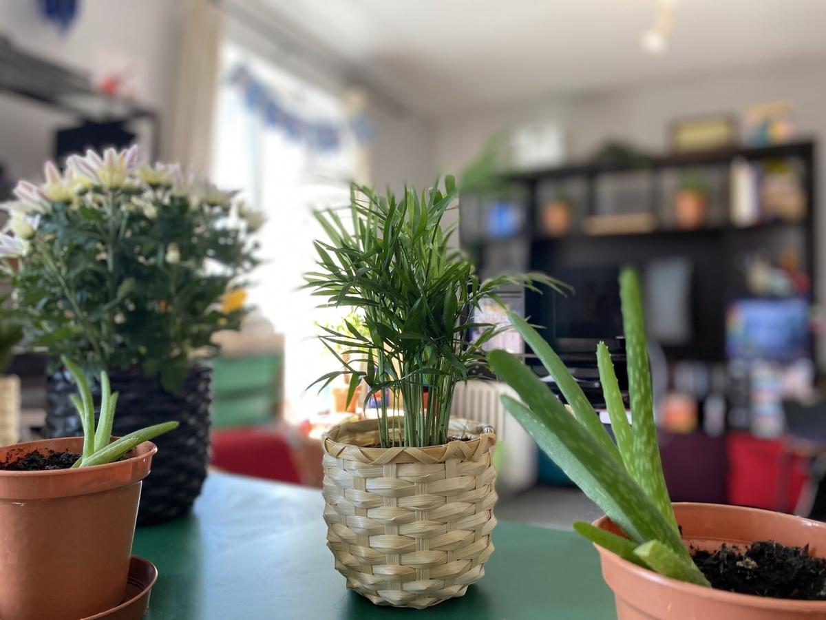 2 bedroom apartment for rent Aprilia House, Lloyd Avenue