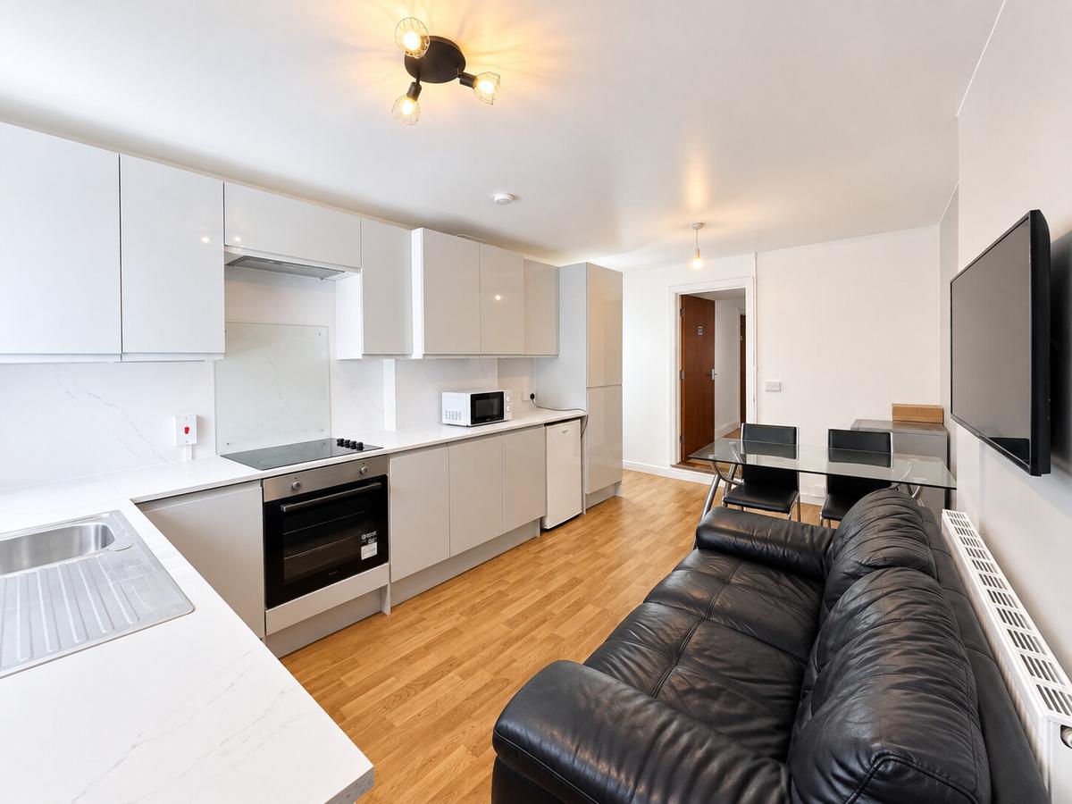 5 bedroom house on Brunswick Street, Brynmill, Swansea