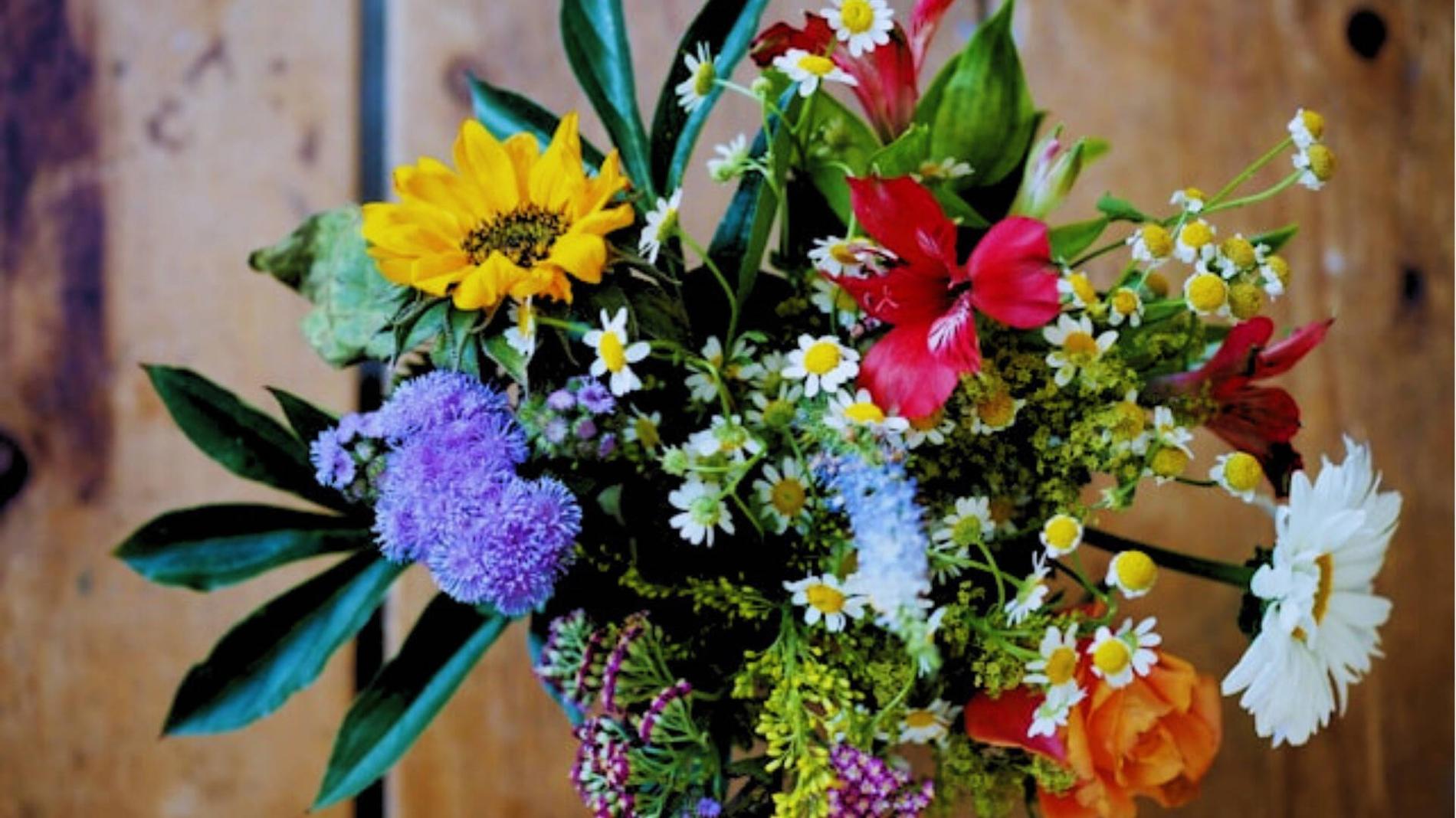 8 Mother's Day Gifts on a Budget