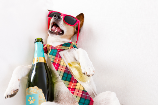 The Best Hangover Cures For Students (that Actually Work)