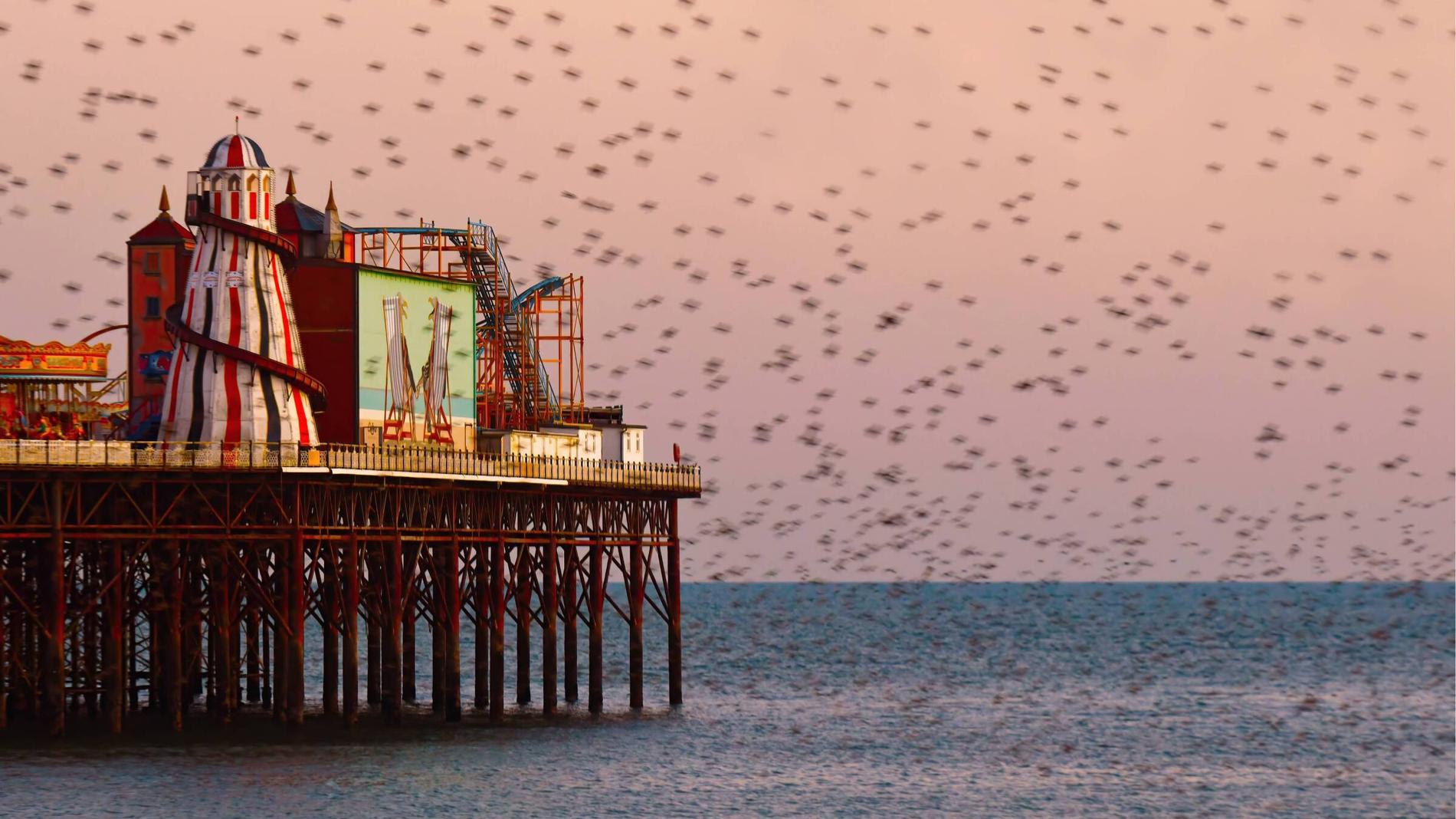 What It’s Actually Like Being a Student in Brighton
