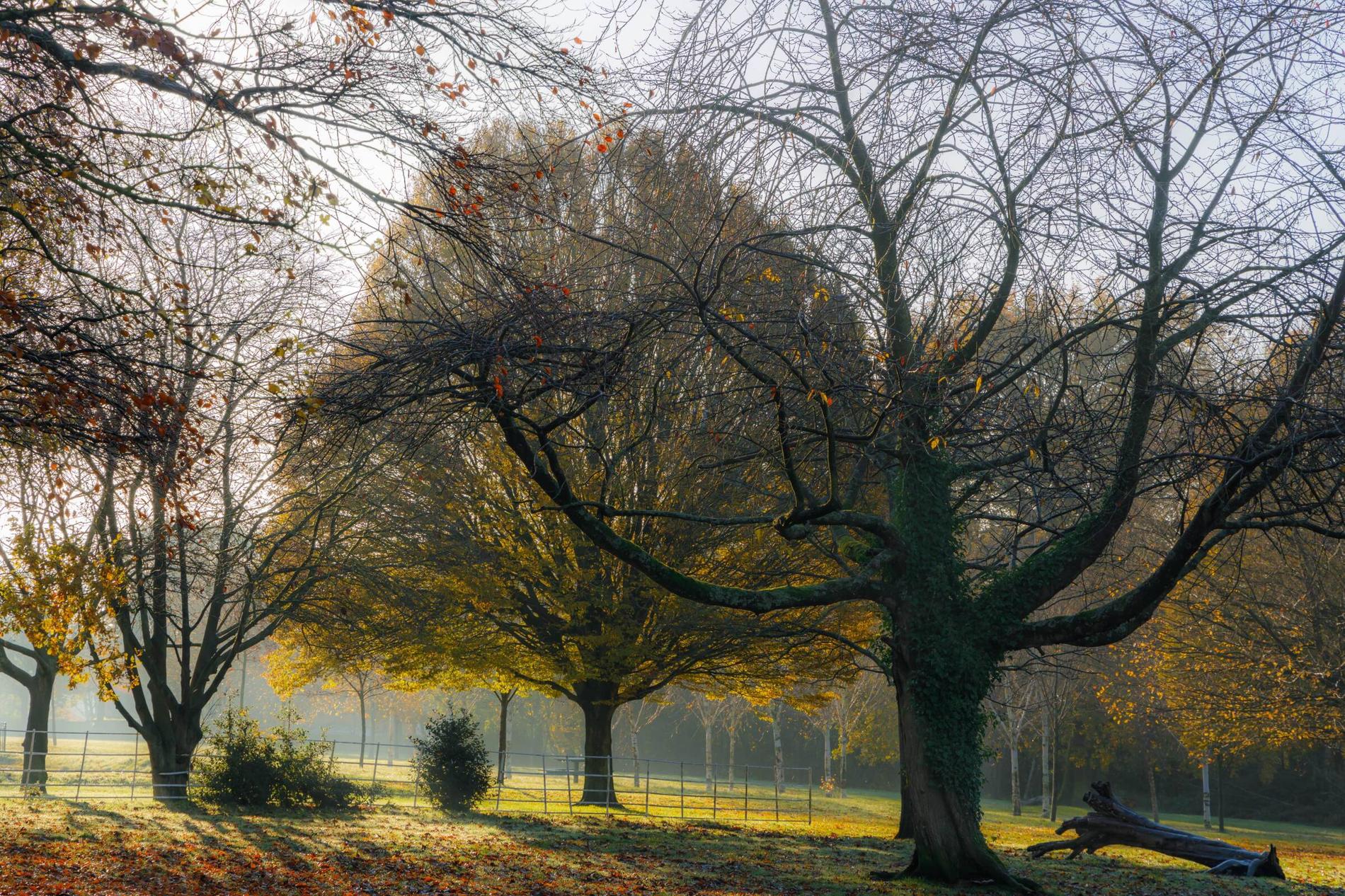 The Birmingham Student Guide: Selly Oak