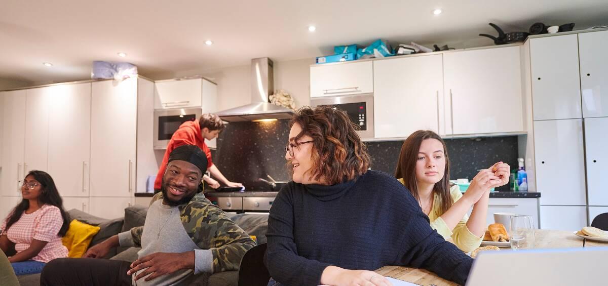 The Ideal Number of Housemates to Live With