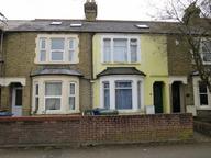 Magdalen Road, East Oxford