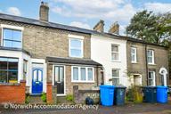 Winter Road, Golden Triangle