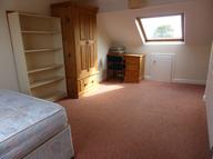 Cobden View Road, Crookes