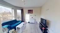 58 Burns Street, Arboretum