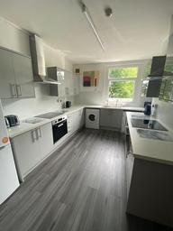 Bryn Road, Brynmill