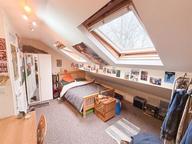 Thompson Road, Ecclesall