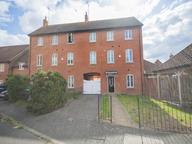 Richard Street, Hatfield