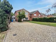 Primula Drive, Eaton