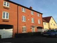 Chipmunk Chase, Hatfield