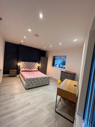 Brynmill Avenue, Brynmill