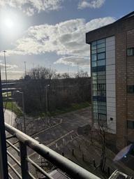 Wallace Street, City Centre