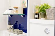 Trapezium, Woodhouse