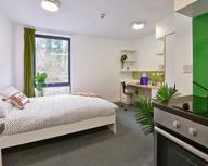 The Village At The Viaduct, The Viaduct