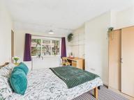 Colman Road, Golden Triangle