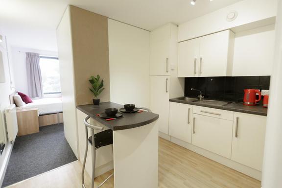 1 bedroom student apartment in Holloway, London