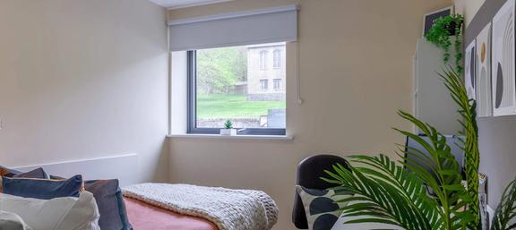 1 bedroom student apartment in Upper Bangor, Bangor