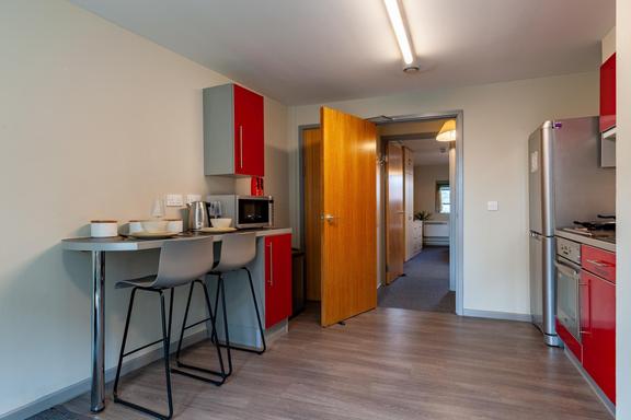 1 bedroom student apartment in City Centre, Reading