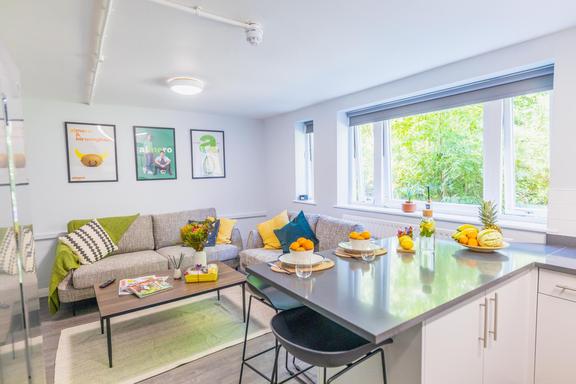 1 bedroom student apartment in Harborne, Birmingham