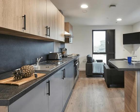 1 bedroom student apartment in The Polygon, Southampton