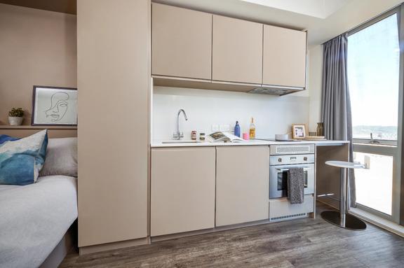 1 bedroom student apartment in City Centre, Sheffield