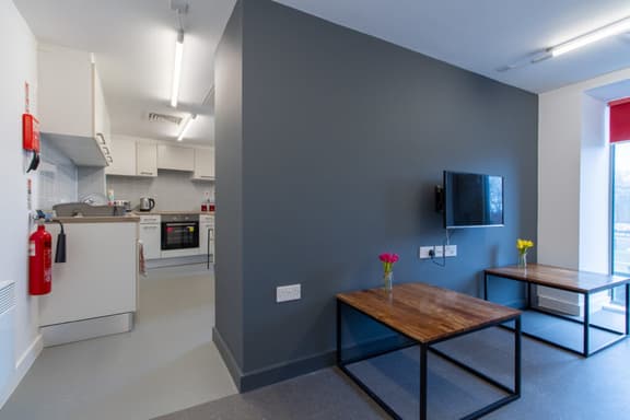 1 bedroom student apartment in City Centre, Coventry