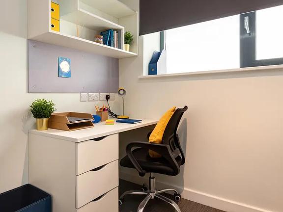 8 bedroom student apartment in Town Centre, Falmouth