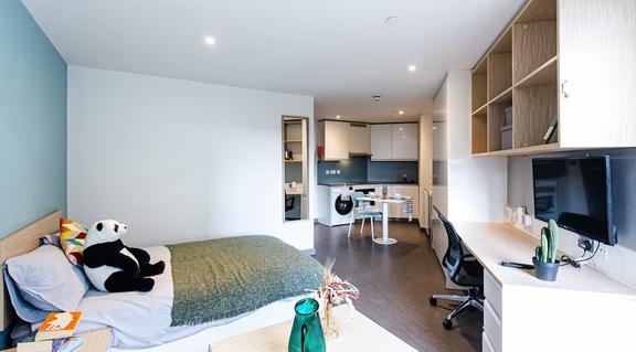 1 bedroom student apartment in City Centre, Sheffield