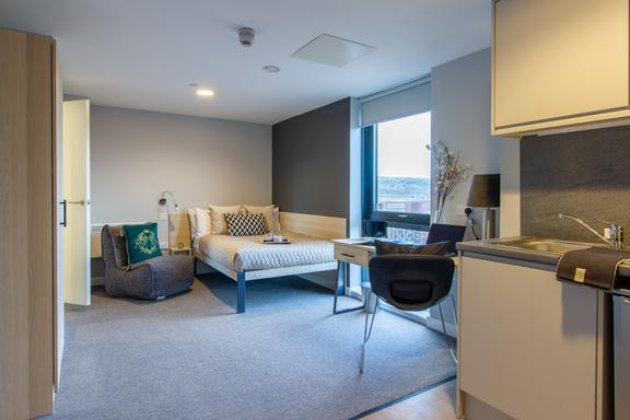 1 bedroom student apartment in City Centre, Sheffield