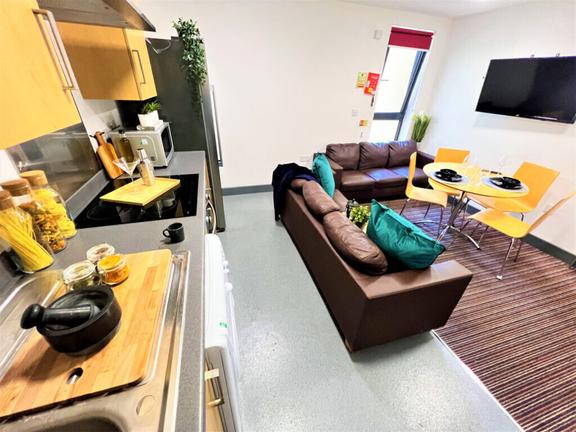 1 bedroom student apartment in City Centre, Sunderland
