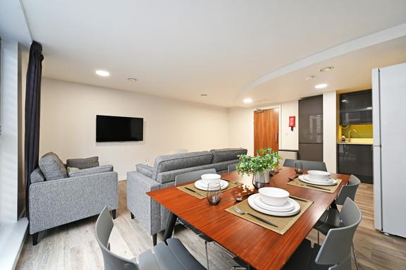 4 bedroom student apartment in City Centre, Sheffield