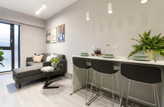 1 bedroom student apartment in City Centre, Sheffield