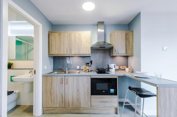 1 bedroom student apartment in City Centre, Sheffield
