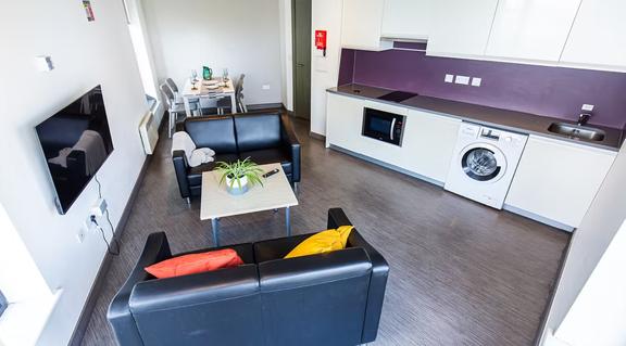 1 bedroom student apartment in City Centre, Sheffield