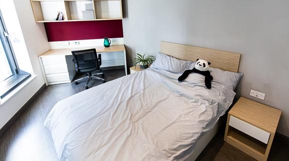 1 bedroom student apartment in City Centre, Sheffield