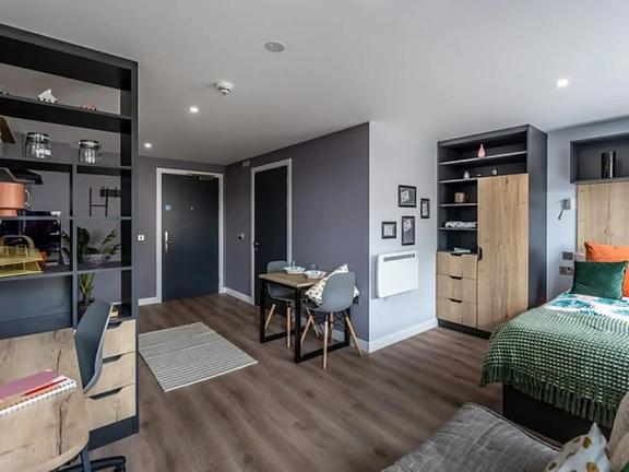 1 bedroom student apartment in City Centre, Sheffield