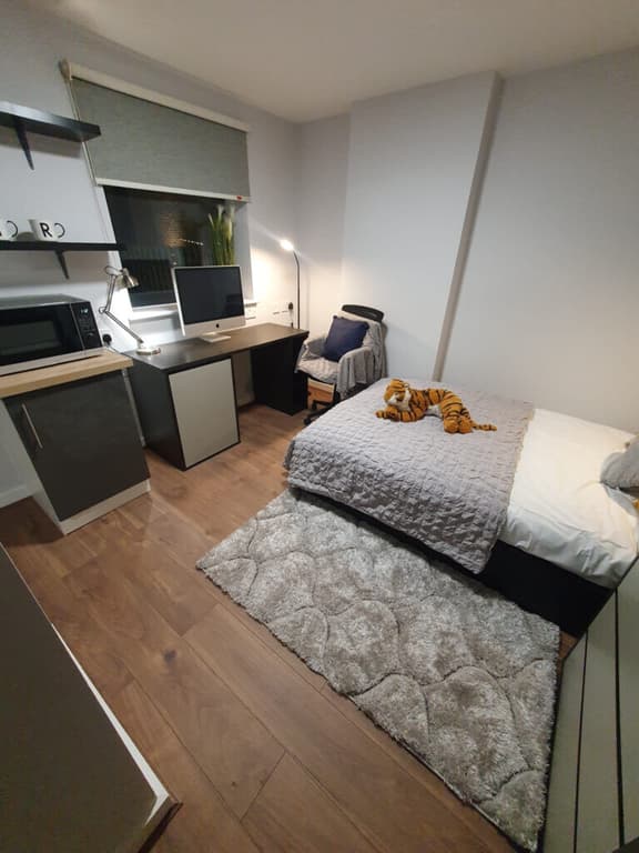 1 bedroom student apartment in City Centre, Liverpool