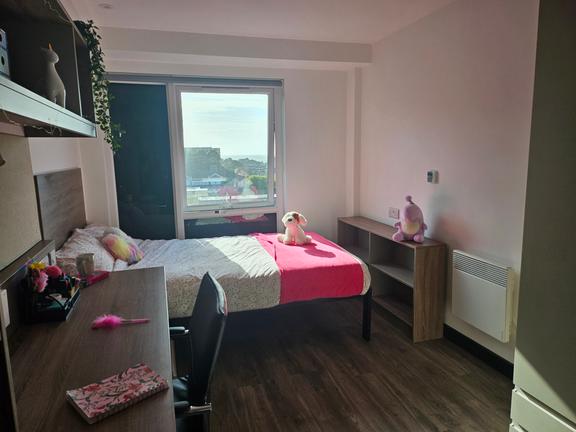 1 bedroom student apartment in City Centre, Swansea