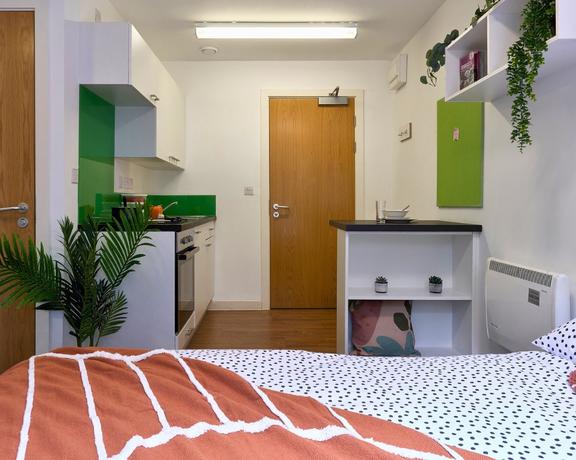 1 bedroom student apartment in The Viaduct, Durham