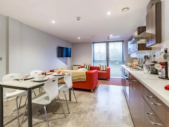 1 bedroom student apartment in Mutley Plain, Plymouth