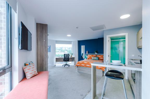 1 bedroom student apartment in City Centre, Sheffield