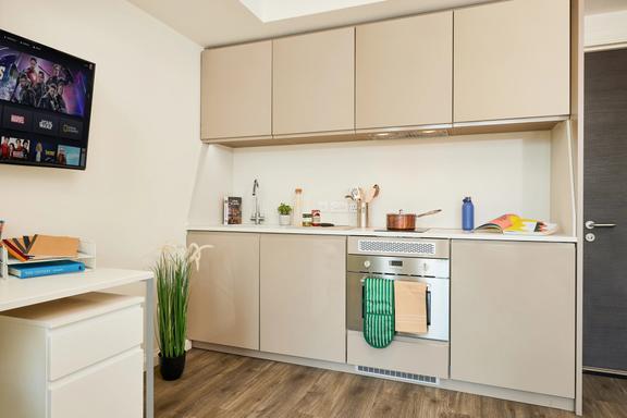 1 bedroom student apartment in City Centre, Sheffield