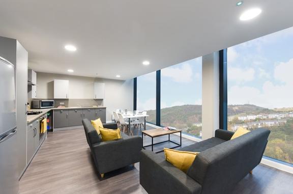 1 bedroom student apartment in City Centre, Swansea