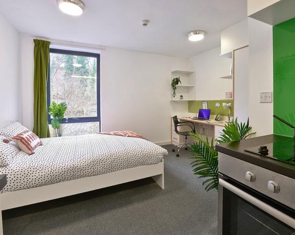 1 bedroom student apartment in The Viaduct, Durham