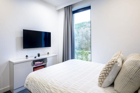 1 bedroom student apartment in City Centre, Swansea